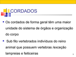 CORDADOS
5
 Os cordados de forma geral têm uma maior
unidade do sistema de órgãos e organização
do corpo
 Sub filo vertebrados indivíduos do reino
animal que possuem vertebras /exceção
lampreias e feiticeiras
 