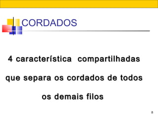 CORDADOS
8
4 característica  compartilhadas4 característica  compartilhadas
que separa os cordados de todosque separa os cordados de todos
os demais filos os demais filos 
 
