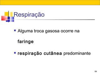 84
Respiração
 Alguma troca gasosa ocorre na
faringe
 respiração cutânea predominante
 