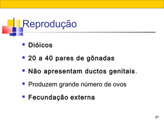 87
Reprodução
 Dióicos
 20 a 40 pares de gônadas
 Não apresentam ductos genitais.
 Produzem grande número de ovos
 Fecundação externa
 