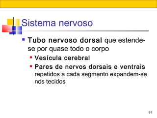 91
Sistema nervoso
 Tubo nervoso dorsal que estende-
se por quase todo o corpo
 Vesícula cerebral
 Pares de nervos dorsais e ventrais
repetidos a cada segmento expandem-se
nos tecidos
 