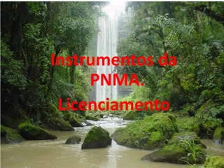 Instrumentos da
PNMA.
Licenciamento
12/6/2013

Marli Deon Sette - 2012

1

 