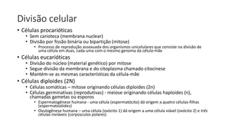 Divisão celular
• Células procarióticas
• Sem carioteca (membrana nuclear)
• Divisão por fissão binária ou bipartição (mitose)
• Processo de reprodução assexuada dos organismos unicelulares que consiste na divisão de
uma célula em duas, cada uma com o mesmo genoma da célula-mãe
• Células eucarióticas
• Divisão do núcleo (material genético) por mitose
• Segue divisão da membrana e do citoplasma chamado citocinese
• Mantém-se as mesmas características da célula-mãe
• Células diploides (2N)
• Células somáticas – mitose originando células diploides (2n)
• Células germinativas (reprodutivas) - meiose originando células haploides (n),
chamadas gametas ou esporos
• Espermatogênese humana - uma célula (espermatócito) dá origem a quatro células-filhas
(espermatozóides)
• Ovulogênese humana – uma célula (ovócito 1) dá origem a uma célula viável (ovócito 2) e três
células inviáveis (corpúsculos polares)
 