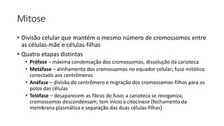 Mitose
• Divisão celular que mantém o mesmo número de cromossomos entre
as células-mãe e células-filhas
• Quatro etapas distintas
• Prófase – máxima condensação dos cromossomos, dissolução da carioteca
• Metáfase – alinhamento dos cromossomos no equador celular; fuso mitótico
conectado aos centrômeros
• Anáfase – divisão do centrômero e migração dos cromossomos-filhos para os
polos das células
• Telófase – desaparecem as fibras do fuso; a carioteca se reorganiza;
cromossomos descondensam; tem início a citocinese (fechamento da
membrana plasmática e separação das duas células-filhas)
 