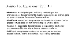 Divisão II ou Equacional: 2[n]  n
• Prófase II – mais rápida que a Prófase I; condensação dos
cromossomos; desaparecimento da carioteca; centríolos migram para
os polos celulares e forma-se o fuso acromático
• Metáfase II – cromossomos pareados se alinham no equador celular
presos ao fuso; cada cromátide voltada para um dos polos
• Anáfase II – separação das cromátides (que passam a se chamar
cromossomos-filhos) e migração para os polos celulares
• Telófase II – reaparecem carioteca e nucléolo; cromossomos
descondensam; ocorre a citocinese (divisão citoplasmática)
 