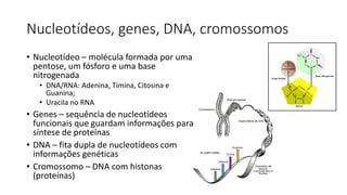 Nucleotídeos, genes, DNA, cromossomos
• Nucleotídeo – molécula formada por uma
pentose, um fósforo e uma base
nitrogenada
• DNA/RNA: Adenina, Timina, Citosina e
Guanina;
• Uracila no RNA
• Genes – sequência de nucleotídeos
funcionais que guardam informações para
síntese de proteínas
• DNA – fita dupla de nucleotídeos com
informações genéticas
• Cromossomo – DNA com histonas
(proteínas)
 