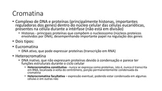 Cromatina
• Complexo de DNA e proteínas (principalmente histonas, importantes
reguladoras dos genes) dentro do núcleo celular das células eucarióticas,
presentes na célula durante a intérfase (não está em divisão)
• Histonas - principais proteínas que compõem o nucleossomo (núcleos proteicos
envolvidos por DNA), desempenhando importante papel na regulação dos genes
• Dois tipos:
• Eucromatina
• DNA ativo, que pode expressar proteínas (transcrição em RNA)
• Heterocromatina
• DNA inativo, que não expressam proteínas devido à condensação e parece ter
funções estruturais durante o ciclo celular
• Heterocromatina constitutiva - nunca se expressa como proteínas, isto é, nunca é transcrita
em RNA, localizada à volta do centrômero, porção permanentemente condensada da
cromatina
• Heterocromatina facultativa – expressão eventual, podendo estar condensada em algumas
células e em outras não
 