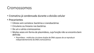 Cromossomos
• Cromatina já condensada durante a divisão celular
• Procariontes
• Células sem carioteca: bactérias e cianobactérias
• Circulares ou lineares nas bactérias
• De um a vários cromossomos
• Muitas vezes em forma de plasmídeos, cuja função não se encontra bem
definida
• Plasmídeos - moléculas circulares duplas de DNA capazes de se reproduzir
independentemente do DNA cromossômico
 