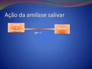 Ação da amilase salivar
Amido
e
Glicogênio
Maltose
pH ~ 7
 