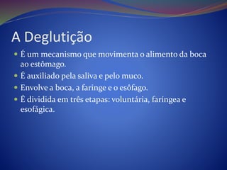 A Deglutição
 É um mecanismo que movimenta o alimento da boca
ao estômago.
 É auxiliado pela saliva e pelo muco.
 Envolve a boca, a faringe e o esôfago.
 É dividida em três etapas: voluntária, faríngea e
esofágica.
 