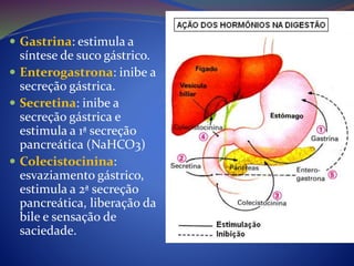  Gastrina: estimula a
síntese de suco gástrico.
 Enterogastrona: inibe a
secreção gástrica.
 Secretina: inibe a
secreção gástrica e
estimula a 1ª secreção
pancreática (NaHCO3)
 Colecistocinina:
esvaziamento gástrico,
estimula a 2ª secreção
pancreática, liberação da
bile e sensação de
saciedade.
 