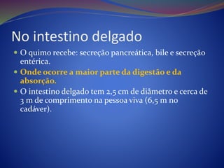 No intestino delgado
 O quimo recebe: secreção pancreática, bile e secreção
entérica.
 Onde ocorre a maior parte da digestão e da
absorção.
 O intestino delgado tem 2,5 cm de diâmetro e cerca de
3 m de comprimento na pessoa viva (6,5 m no
cadáver).
 