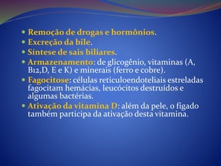  Remoção de drogas e hormônios.
 Excreção da bile.
 Síntese de sais biliares.
 Armazenamento: de glicogênio, vitaminas (A,
B12,D, E e K) e minerais (ferro e cobre).
 Fagocitose: células reticuloendoteliais estreladas
fagocitam hemácias, leucócitos destruídos e
algumas bactérias.
 Ativação da vitamina D: além da pele, o fígado
também participa da ativação desta vitamina.
 