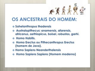 OS ANCESTRAIS DO HOMEM:
 Sahelanthropus thadensis
 Australopithecus: anamensis, afarensis,
africanus, aethiopicus, boisei, robustos, garhi.
 Homo Habilis.
 Homo Erectus ou Pithecanthropus Erectus
(homem de Java).
 Homo Sapiens Neanderthalensis
 Homo Sapiens Sapiens (Homem moderno)
 