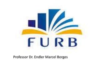 Professor Dr. Endler Marcel Borges
 