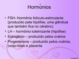 Hormonios
• FSH- Hormônio folículo-estimulante
(produzido pela hipófise, uma glândula
que também fica no cérebro);
• LH – hormônio luiteinizante (hipófise)
• Estrogênio – produzido pelos ovários
• Progesterona – produzido pelos ovários,
corpo lúteo e placenta