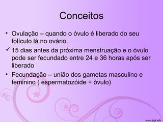 Conceitos
• Ovulação – quando o óvulo é liberado do seu
folículo lá no ovário.
15 dias antes da próxima menstruação e o óvulo
pode ser fecundado entre 24 e 36 horas após ser
liberado
• Fecundação – união dos gametas masculino e
feminino ( espermatozóide + óvulo)