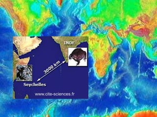 23
www.cite-sciences.fr
 