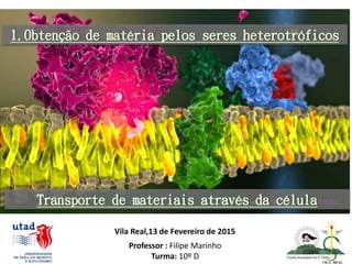 1.Obtenção de matéria pelos seres heterotróficos
Vila Real,13 de Fevereiro de 2015
Professor : Filipe Marinho
Turma: 10º D
Transporte de materiais através da célula
 