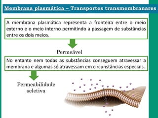 A membrana plasmática representa a fronteira entre o meio
externo e o meio interno permitindo a passagem de substâncias
entre os dois meios.
Permeável
No entanto nem todas as substâncias conseguem atravessar a
membrana e algumas só atravessam em circunstâncias especiais.
Permeabilidade
seletiva
 