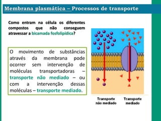 O movimento de substâncias
através da membrana pode
ocorrer sem intervenção de
moléculas transportadoras –
transporte não mediado – ou
com a intervenção dessas
moléculas – transporte mediado.
Como entram na célula os diferentes
compostos que não conseguem
atravessar a bicamada fosfolipídica?
 