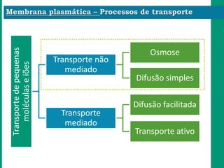 Transportedepequenas
moléculaseiões
Transporte não
mediado
Osmose
Difusão simples
Transporte
mediado
Difusão facilitada
Transporte ativo
 