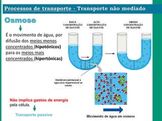 Osmose
É o movimento de água, por
difusão dos meios menos
concentrados (hipotónicos)
para os meios mais
concentrados (hipertónicas)
Não implica gastos de energia
pela célula.
Transporte passivo
 