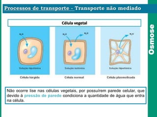 Osmose
Não ocorre lise nas células vegetais, por possuírem parede celular, que
devido à pressão de parede condiciona a quantidade de água que entra
na célula.
Célula vegetal
 
