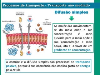 As moléculas movimentam-
se do meio onde a sua
concentração é mais
elevada para o meio onde a
sua concentração é mais
baixa, isto é, a favor de um
gradiente de concentração.
Difusão simples
A osmose e a difusão simples são processos de transporte
passivo, porque a sua ocorrência não implica gasto de energia
pela célula.
 