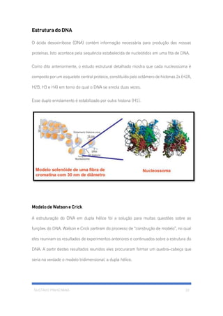 GUSTAVO PINHO MAIA 10
Estrutura do DNA
O ácido desoxirribose (DNA) contém informação necessária para produção das nossas
proteínas. Isto acontece pela sequência estabelecida de nucleótidos em uma fita de DNA.
Como dito anteriormente, o estudo estrutural detalhado mostra que cada nucleossoma é
composto por um esqueleto central proteico, constituído pelo octâmero de histonas 2x (H2A,
H2B, H3 e H4) em torno do qual o DNA se enrola duas vezes.
Esse duplo enrolamento é estabilizado por outra histona (H1).
Modelo de Watson e Crick
A estruturação do DNA em dupla hélice foi a solução para muitas questões sobre as
funções do DNA. Watson e Crick partiram do processo de “construção de modelo”, no qual
eles reuniram os resultados de experimentos anteriores e continuados sobre a estrutura do
DNA. A partir destes resultados reunidos eles procuraram formar um quebra-cabeça que
seria na verdade o modelo tridimensional, a dupla hélice.
 