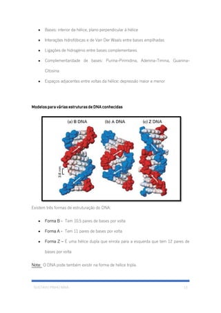 GUSTAVO PINHO MAIA 13
• Bases: interior da hélice, plano perpendicular á hélice
• Interações hidrofóbicas e de Van Der Waals entre bases empilhadas
• Ligações de hidrogénio entre bases complementares
• Complementaridade de bases: Purina-Pirimidina, Adenina-Timina, Guanina-
Citosina
• Espaços adjacentes entre voltas da hélice: depressão maior e menor
Modelos para várias estruturas de DNA conhecidas
Existem três formas de estruturação do DNA:
• Forma B - Tem 10.5 pares de bases por volta
• Forma A - Tem 11 pares de bases por volta
• Forma Z – É uma hélice dupla que enrola para a esquerda que tem 12 pares de
bases por volta
Nota: O DNA pode também existir na forma de hélice tripla.
 
