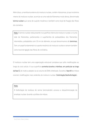 GUSTAVO PINHO MAIA 4
Além disso, a membrana externa do involucro nuclear, contém ribossomas, já que na lamina
interior do involucro nuclear, acumula-se uma rede de filamentos muito densa, denominada
lamina nuclear que serve de suporte mecânico e também como local de fixação das fibras
de cromatina.
O invólucro nuclear tem uma organização estrutural complexa que sofre modificações ao
longo do ciclo celular. A sua superfície aumenta durante a interfase, em particular ao longo
da fase S, de modo a adaptar-se ao volume de DNA sintetizado. Durante a fase M da mitose
ocorrem modificações mais evidentes do invólucro nuclear (fosforilação/desfosforilação).
Nota: A lamina nuclear está presente na superfície interna do involucro nuclear, e é uma
rede de filamentos, pertencentes á superfamília de polipeptídeos dos filamentos
intermédios, polipéptidos com 10 nm de diâmetro, ao qual denominamos de lamininas.
Tem um papel fundamental no suporte mecânico do involucro nuclear e servem também
como local de ligação das fibras de cromatina.
Nota:
A fosforilação de resíduos de serina (aminoácido), provoca a despolimerização do
envelope nuclear durante a prófase da mitose.
 