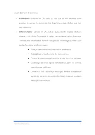 GUSTAVO PINHO MAIA 7
Existem dois tipos de cromatina:
• Eucromatina – Consiste em DNA ativo, ou seja, que se pode expressar como
proteínas e enzimas. É a zona mais ativa do genoma. A sua estrutura está mais
descondensada.
• Heterocromatina – Consiste em DNA inativo e que parece ter funções estruturais
durante o ciclo celular. Corresponde ás regiões menos ativas e inativas do genoma.
Tem estrutura condensada e mantém o seu grau de condensação durante o ciclo
celular. Tem como funções principais:
▪ Proteção da eucromatina contra quebras e rearranjos.
▪ Regulação do emparelhamento dos cromossomas.
▪ Controlo do mecanismo de transporte ao nível dos poros nucleares.
▪ Estabilização de certas regiões cromossómicas, como por exemplo,
o centrómero e o telómero.
▪ Contribuição para a especiação e evolução, devido á facilidade com
que se dão rearranjos cromossómicos nestas zonas que conduzem
á evolução dos cariótipos.
 