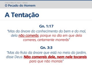 Curso A Bíblia AT: Aula 2 - Gênesis
O Pecado do Homem
A Tentação
Gn. 1:17
“Mas da árvore do conhecimento do bem e do mal,
dela não comerás; porque no dia em que dela
comeres, certamente morrerás”
Gn. 3:3
“Mas do fruto da árvore que está no meio do jardim,
disse Deus: Não comereis dele, nem nele tocareis
para que não morrais”
 