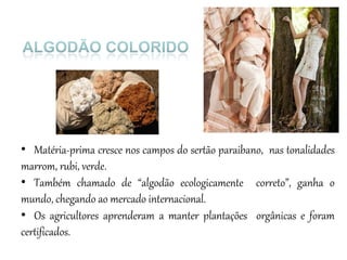 • Matéria-prima cresce nos campos do sertão paraibano, nas tonalidades
marrom, rubi, verde.
• Também chamado de “algodão ecologicamente correto”, ganha o
mundo, chegando ao mercado internacional.
• Os agricultores aprenderam a manter plantações orgânicas e foram
certificados.
 