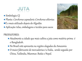 ● Simbologia:CJ
● Planta: Carchorus capsularis; Corchorus olitorius.
●É o mais utilizado depois do Algodão.
● Aplicação: telas, embalagens e tecidos para sacos
PRODUTORES:
● Atualmente a cidade que mais cultiva a juta como matéria-prima é
o Bangladesh.
● No Brasil está apresenta na regiões alagadas da Amazonia
● O maior fabricante de mercadorias é a Índia, sendo seguida por
China, Tailândia, Mianmar, Butão e Nepal.
 