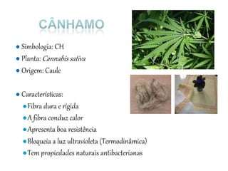 ● Simbologia: CH
● Planta: Cannabis sativa
● Origem: Caule
● Características:
●Fibra dura e rígida
●A fibra conduz calor
●Apresenta boa resistência
●Bloqueia a luz ultravioleta (Termodinâmica)
●Tem propiedades naturais antibacterianas
 