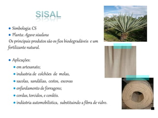 ● Simbologia:CS
● Planta: Agave sisalana
Os principais produtos são os fios biodegradáveis e um
fertilizante natural.
● Aplicações:
● em artesanato;
● industria de colchões de molas,
● sacolas, sandálias, cestos, escovas
● enfardamento de forragens;
● cordas, torcidos, e cordéis.
● indústria automobilística, substituindo a fibra de vidro.
 