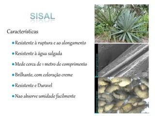 Características
●Resistente à ruptura e ao alongamento
●Resistente à água salgada
●Mede cerca de 1 metro de comprimento
●Brilhante, com coloração creme
●Resistente e Duravel
●Nao absorve umidade facilmente
 