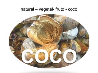 natural – vegetal- fruto - coco
 