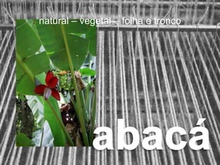 natural – vegetal – folha e tronco
 