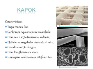 Características:
● Toque macio e liso;
● Cor branca e quase sempre amarelada ;
● Fibra oca e seção transversal redonda;
● Efeito termorregulador e isolante térmico;
● Grande absorção de água;
● Fibra leve, flutuante e macia;
● Usado para acolchoados e estofamentos.
 