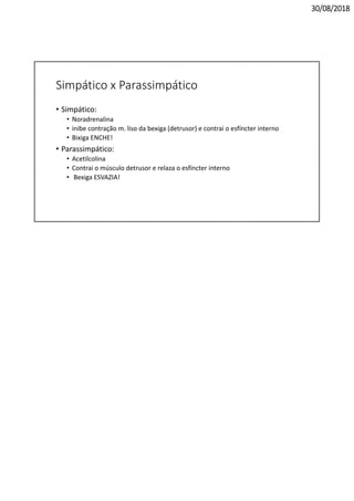30/08/2018
Simpático x Parassimpático
• Simpático:
• Noradrenalina
• inibe contração m. liso da bexiga (detrusor) e contrai o esfíncter interno
• Bixiga ENCHE!
• Parassimpático:
• Acetilcolina
• Contrai o músculo detrusor e relaza o esfíncter interno
• Bexiga ESVAZIA!
 