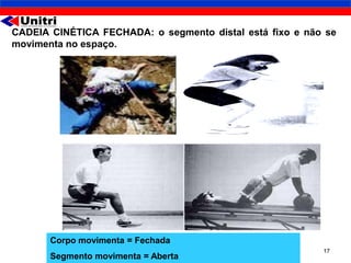 CADEIA CINÉTICA FECHADA: o segmento distal está fixo e não se
movimenta no espaço.




       Corpo movimenta = Fechada
                                                          17
       Segmento movimenta = Aberta
 