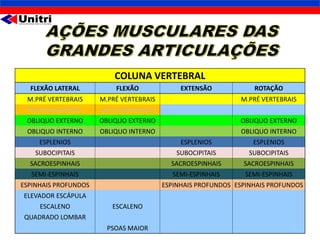 COLUNA VERTEBRAL
  FLEXÃO LATERAL          FLEXÃO              EXTENSÃO            ROTAÇÃO
 M.PRÉ VERTEBRAIS     M.PRÉ VERTEBRAIS                        M.PRÉ VERTEBRAIS
  RETO ABDOMINAL      RETO ABDOMINAL
 OBLIQUO EXTERNO      OBLIQUO EXTERNO                         OBLIQUO EXTERNO
 OBLIQUO INTERNO      OBLIQUO INTERNO                         OBLIQUO INTERNO
     ESPLENIOS                                ESPLENIOS           ESPLENIOS
    SUBOCIPITAIS                             SUBOCIPITAIS        SUBOCIPITAIS
  SACROESPINHAIS                           SACROESPINHAIS      SACROESPINHAIS
  SEMI-ESPINHAIS                           SEMI-ESPINHAIS       SEMI-ESPINHAIS
ESPINHAIS PROFUNDOS                      ESPINHAIS PROFUNDOS ESPINHAIS PROFUNDOS
ELEVADOR ESCÁPULA
     ESCALENO            ESCALENO
QUADRADO LOMBAR
                        PSOAS MAIOR                                              5
 