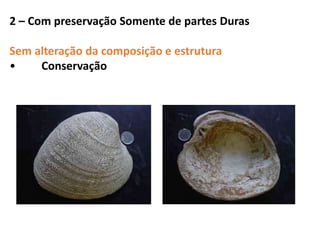 2 – Com preservação Somente de partes Duras
Sem alteração da composição e estrutura
• Conservação
 