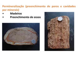 Permineralização (preenchimento de poros e cavidades
por minerais)
• Madeiras
• Preenchimento de ossos
 