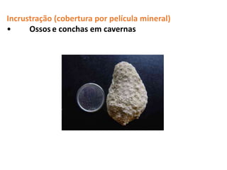 Incrustração (cobertura por película mineral)
• Ossos e conchas em cavernas
 