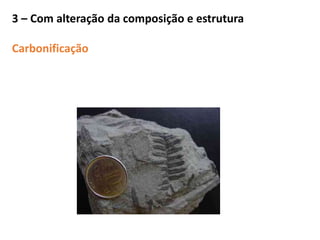 3 – Com alteração da composição e estrutura
Carbonificação
 