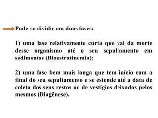 Pode-se dividir em duas fases:
1) uma fase relativamente curta que vai da morte
desse organismo até o seu sepultamento em
sedimentos (Bioestratinomia);
2) uma fase bem mais longa que tem início com a
final do seu sepultamento e se estende até a data de
coleta dos seus restos ou de vestígios deixados pelos
mesmos (Diagênese).
 